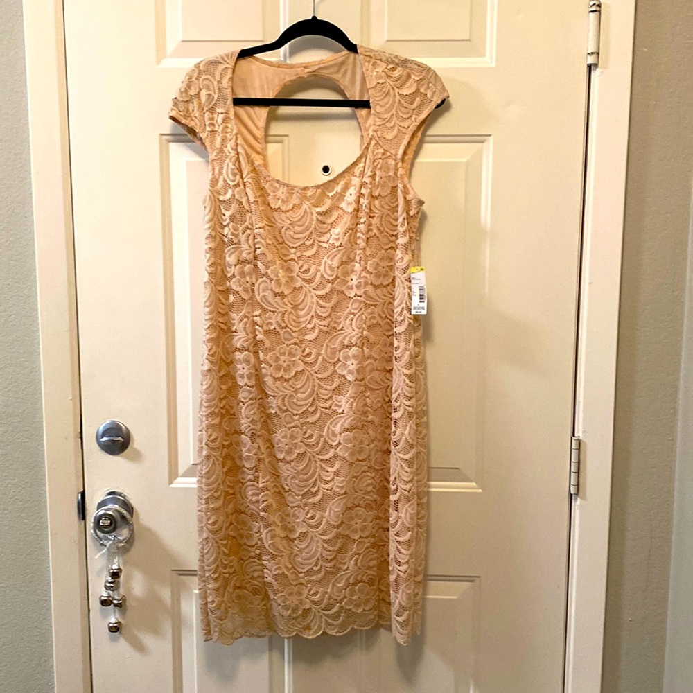 Pale Pink Scallop Lace Dress - Size 12 (New with Tags)